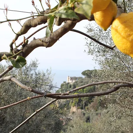 Prázdninový dům Casa Uliveto Sorrento