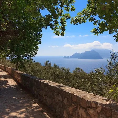 Prázdninový dům Casa Uliveto Sorrento